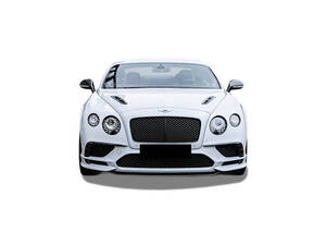 Bentley GT3-R Exterior 