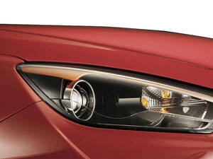 بيستون أولي الخارجية 