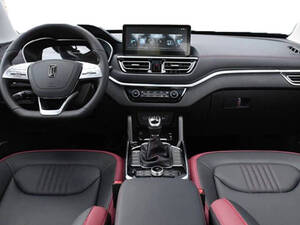 بيستون T33 الداخلية 