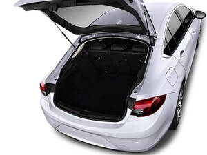 أوبل إنسيجنيا الداخلية 