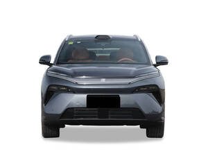 بي واي دي Tang L الخارجية 