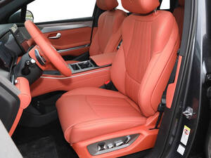 بي واي دي Tang L الداخلية 