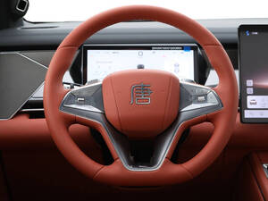 بي واي دي Tang L الداخلية 