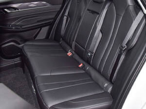 Dongfeng Mage Interior 