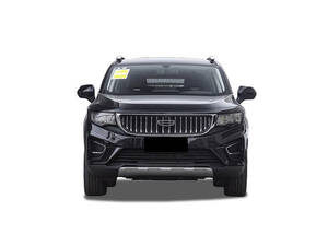 Geely Okavango Exterior 