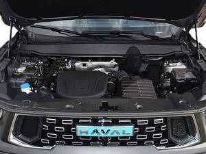 هافال دارغو الخارجية 